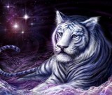 by Claudia Flor