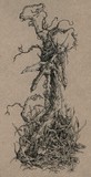 by Socar Myles
