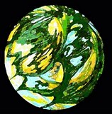 by Dell Belew