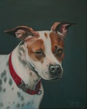 by Dan Mills