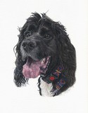 by Wendy Poulton