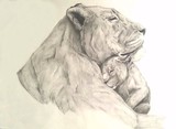 by Kim  Lawrie