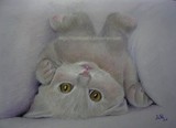 by Ana Rey