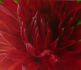 by Catherine Lakeland