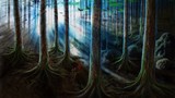 by Nathan Fine