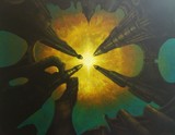 by Keith Whittington