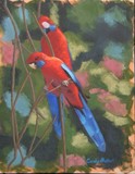 by Candace Antonelli