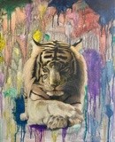 by Candace Antonelli