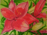 by Elizabeth Janus