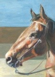 by Kathy Schoeppner
