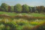 by Debbie Shirley