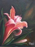 by Yolanda Barjoud