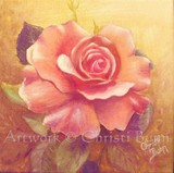 by Christi Bunn