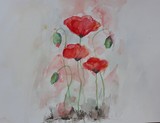 by Patricia Elgee