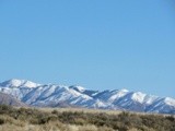 by Debra Kott