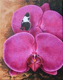 by Lucinda Troester