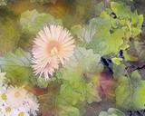 by richard kolinsky