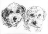 by Geraldine Simmons