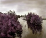 by Hratch Israelian