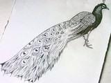 by Kalai S