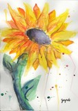 by Zaynab Malik