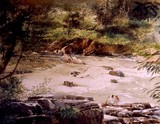by francis kwok peng kin