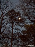 by CM  Sackett