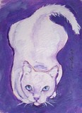 by Carole Chapla
