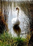 by Macsfield Images