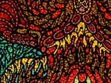 by samuel bohorquez