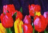 by Auber Fiori