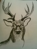 by ben X