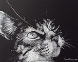 by Sarah Goodrich