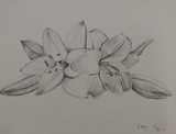 by Kathy Majewska 