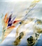 by Dana Koffenberger