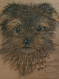 by Dawn Moir-Harris 