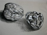 by Danielle Haynos