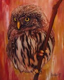 by Christine Cholowsky
