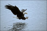 by Harry Eggens
