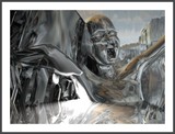 by Stephen Donoho