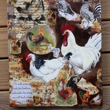 by Jennifer Herlihy