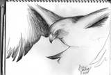 by Asia S.