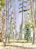 by Barbara Simcoe