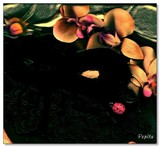 by Pepita Selles