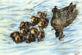 by Gayle Taylor