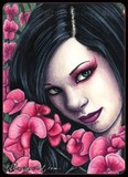 by Rebecca Sinz
