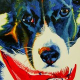 by connie van winssen