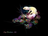 by Angie Waszkiewicz
