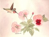by Nancy Woolweber