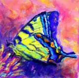 by Elizabeth Teed